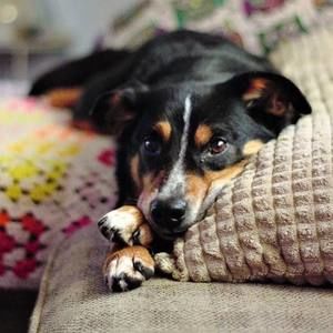 Meet your Posher, Lee